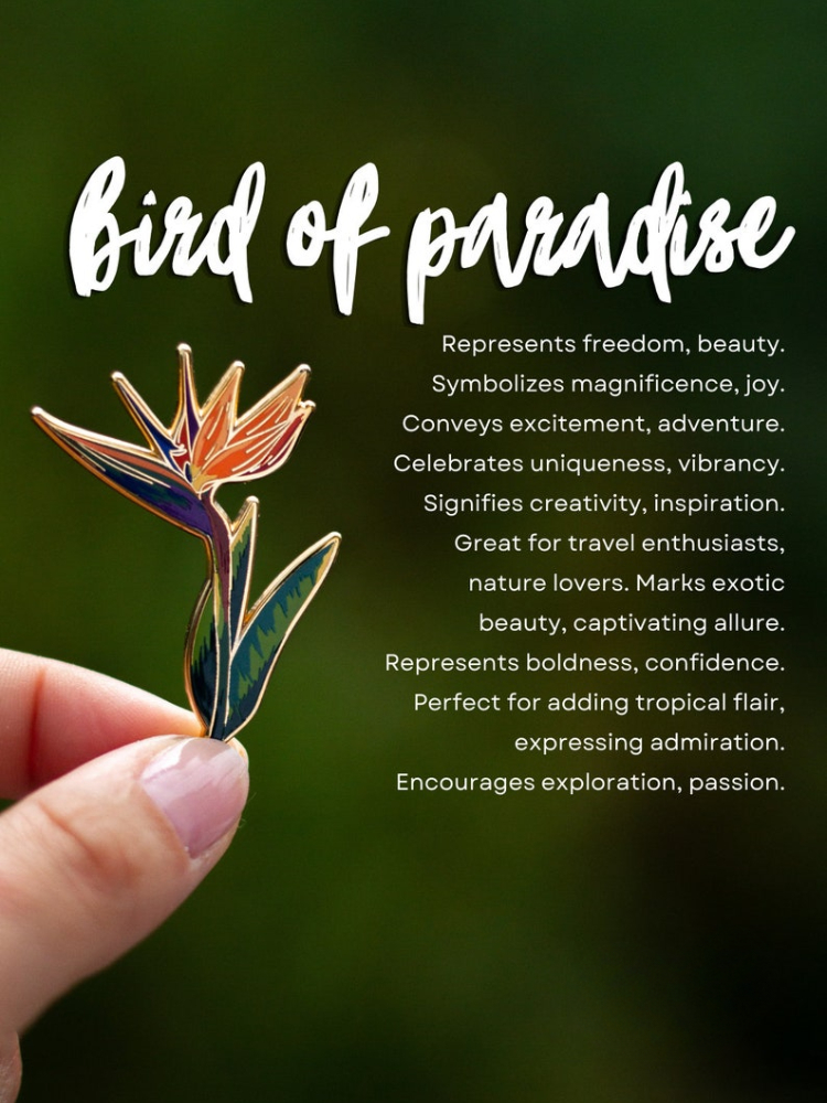 Paradijsvogel plant harde emai - Paradise Jewelry & Watches Dolphin Mall recensie en prijs